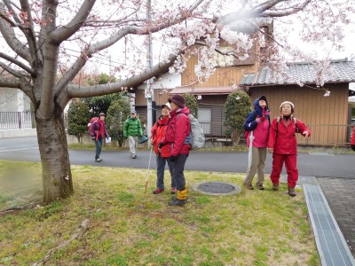 W炫̍グ遟